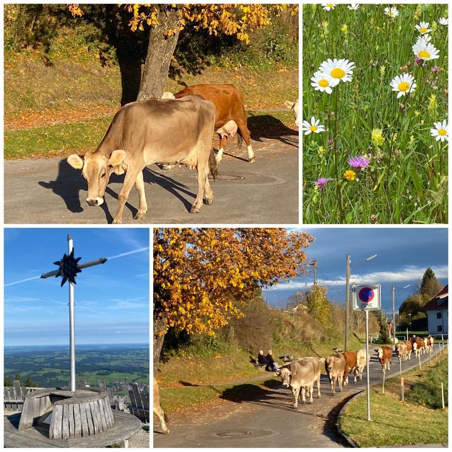 Апартаменты Im- Oberland - Berg - Koenigscard Бад-Кольгруб Экстерьер фото